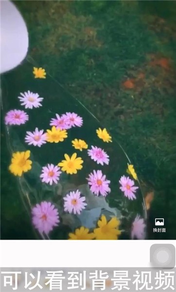 微信朋友圈封面视频如何设置-微信设置朋友圈封面视频方法分享