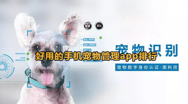 手机宠物管理软件有什么-实用的手机宠物管理app排行