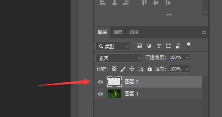 photoshop2020怎样新建图层？photoshop2020新建图层的方法