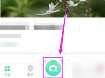 形色怎么上传图片鉴别-形色APP上传相册图片识别植物方式分享
