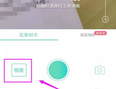 形色怎么上传图片鉴别-形色APP上传相册图片识别植物方式分享