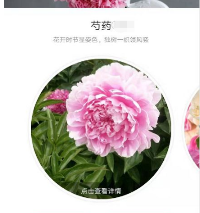 形色怎么上传图片鉴别-形色APP上传相册图片识别植物方式分享