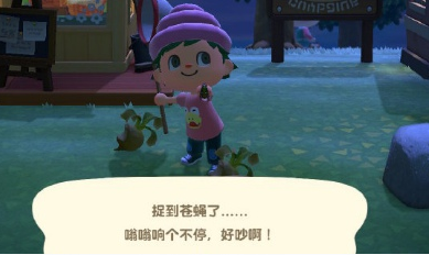 动物森友会苍蝇如何抓_动物之森抓苍蝇方法攻略