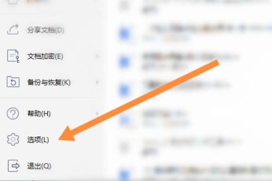 Wps打不了字哪些原因-Wps打不了字解决方法