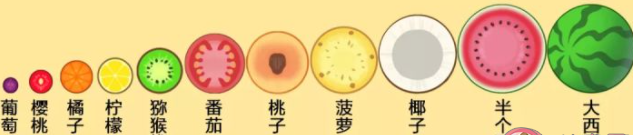 合成小芝麻游戏规则是哪些-合成小芝麻游戏合成的顺序分享