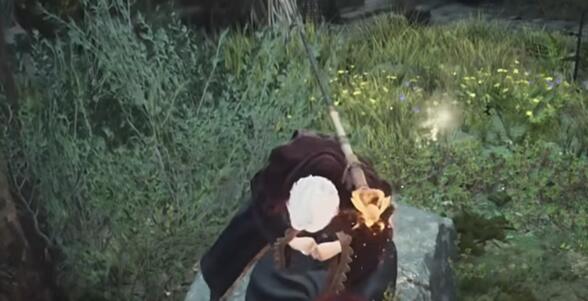 龙之信条2神之鼓励要如何获取-龙之信条2神之鼓励获取攻略