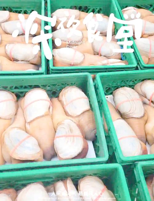 象拔蚌app下载地址:象拔蚌app下载地址如何获取?用户只需访问官网即能轻松下载,简单易行! 象拔蚌app下载地址:象拔蚌app下载地址如何获取?用户只需访问官网即能轻松下载,简单易行!