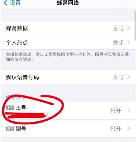 苹果手机volte功能在什么地方打开-苹果手机怎样找到volte功能