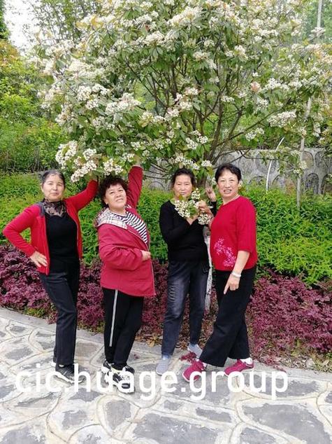 八戒八戒神马影院:畅享高清观影新体验