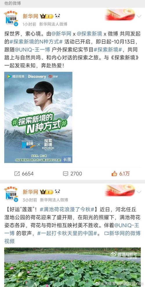 正能量软件不良网站免费入口:探索优质网络资源最佳指南 正能量软件不良网站免费入口:探索优质网络资源最佳指南