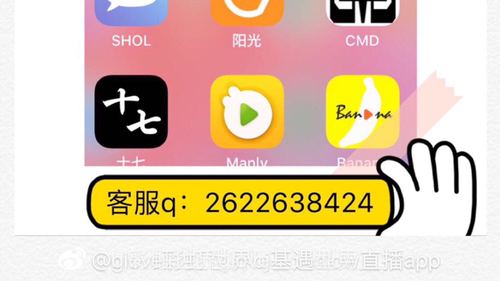 彩虹兔同志app:最佳同志交友平台秘诀 彩虹兔同志app:最佳同志交友平台秘诀