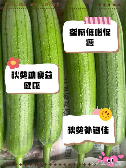 黄瓜香蕉草莓秋葵丝瓜绿巨人免费ios:神奇绿色力量奥秘 黄瓜香蕉草莓秋葵丝瓜绿巨人免费ios:神奇绿色力量奥秘