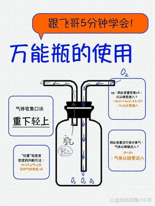 7个使用漂流瓶子2025最新版独家技巧,让你信息传递效率提升200%! 7个使用漂流瓶子2025最新版独家技巧,让你信息传递效率提升200%!