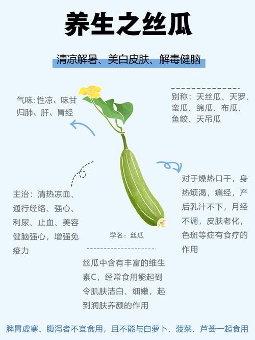 丝瓜绿巨人秋葵榴莲香蕉独特养生功效深度解析 丝瓜绿巨人秋葵榴莲香蕉独特养生功效深度解析