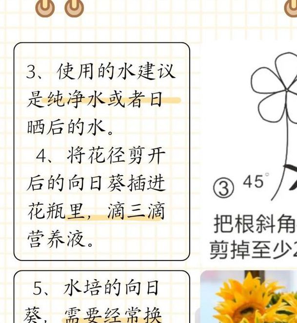 如何快速下载安装向日葵视频安卓应用?详解步骤和常见问题解决方案 如何快速下载安装向日葵视频安卓应用?详解步骤和常见问题解决方案