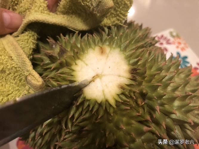 用榴莲视频丝瓜视频绿巨人，提升观影体验的8个绝妙方法