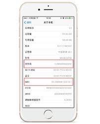 迅速掌握iPhone序列号查询技巧，轻松验证设备真伪
