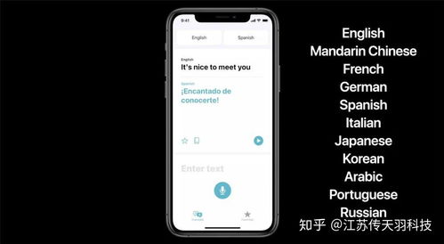 苹果14 app资源库如何隐藏？高效解决方案详解