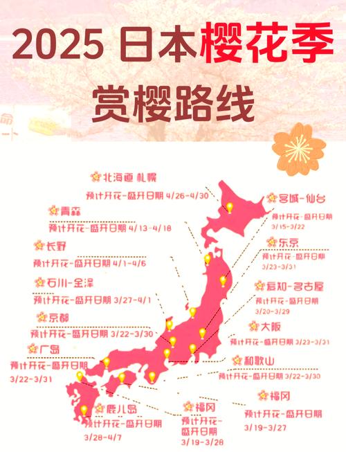 2025年樱花免费APP使用指南7个必知技巧让你更高效 2025年樱花免费APP使用指南7个必知技巧让你更高效
