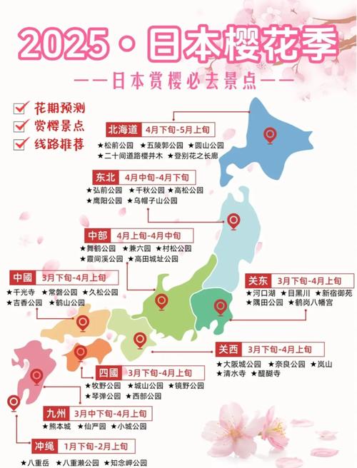 2025年樱花免费APP使用指南7个必知技巧让你更高效 2025年樱花免费APP使用指南7个必知技巧让你更高效