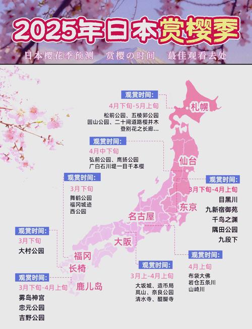 2025年樱花免费APP使用指南7个必知技巧让你更高效 2025年樱花免费APP使用指南7个必知技巧让你更高效