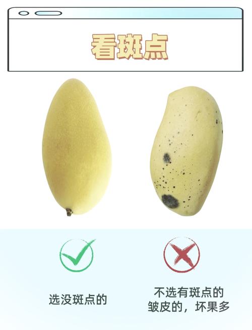 3个权威认可的芒果视频一二三高清版优化技巧 3个权威认可的芒果视频一二三高清版优化技巧