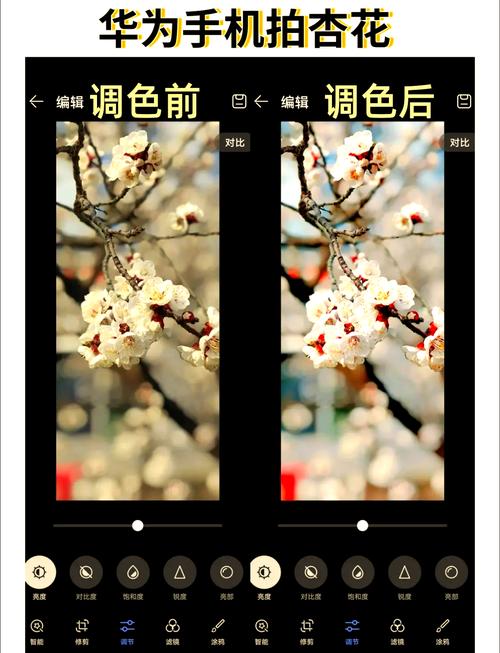 芭乐视频调色板APP免费高清素材资源_手机剪辑必备工具正版安全下载教程 芭乐视频调色板APP免费高清素材资源_手机剪辑必备工具正版安全下载教程