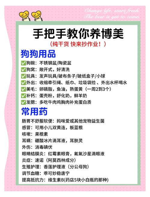 宠物帝国:2025年热门宠物用品选购指南与科学养护全攻略 宠物帝国:2025年热门宠物用品选购指南与科学养护全攻略