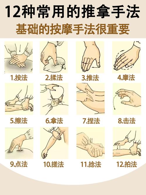 指压是哪些？解析指压按摩手法、穴位图解与日常保健应用