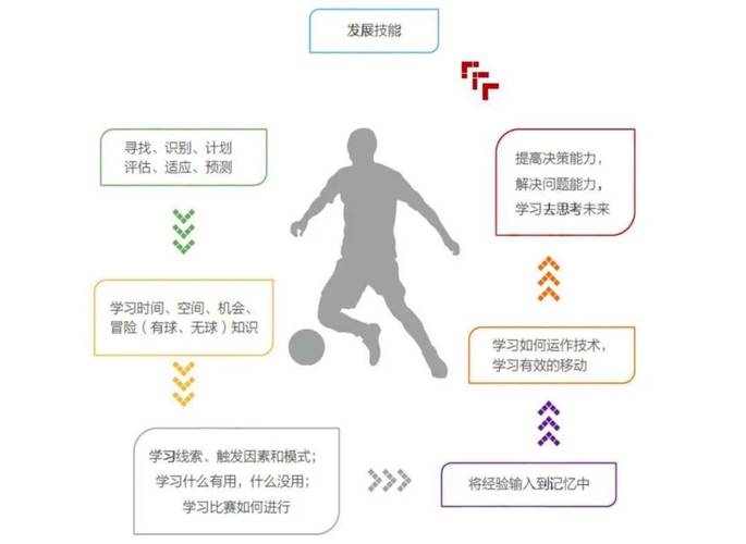 易球成名青训体系如何助力年轻球员快速成长？实战技巧与职业发展解析