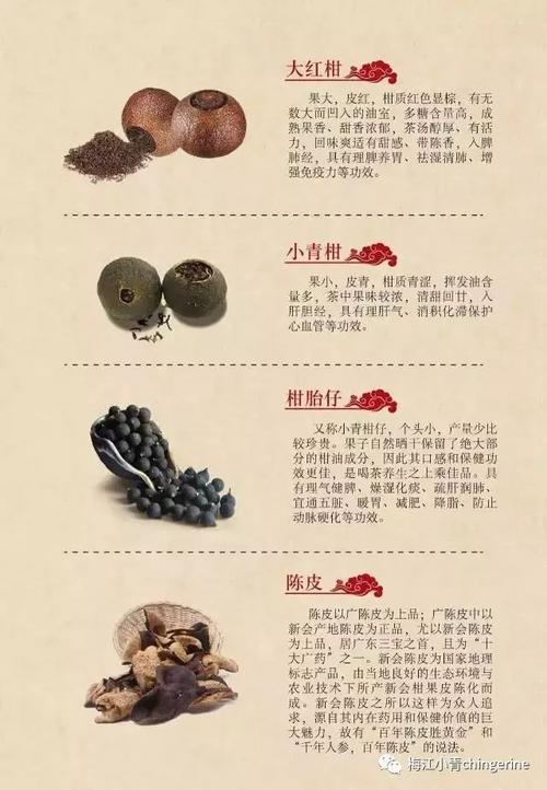 丝仙子养护技巧:全面解析功效与选购指南 丝仙子养护技巧:全面解析功效与选购指南