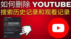 优酷历史记录删除全攻略：保护隐私与优化体验的实用指南