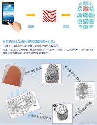 随手记指纹识别功能开启全解析：详细步骤与安全使用指南