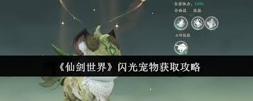 仙剑世界闪光宠物获取全攻略：蓬莱仙岛/宝箱掉落/交易市场全方位解析