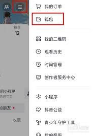 2025年抖音极速版账单管理全解析：3分钟掌握消费明细与智能分析技巧