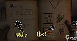 天国拯救2新手村草药采集路线图解：高效采集技巧与炼金资源分布详解