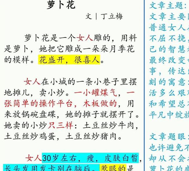梅茹回忆录书评:女性视角下的家族秘辛与文学价值探析 梅茹回忆录书评:女性视角下的家族秘辛与文学价值探析