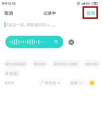 新手必看！Soul语音动态录制全流程详解及实用互动技巧分享