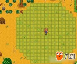 星露谷物语稻草人防护范围解析：高效布局技巧与后期规划策略