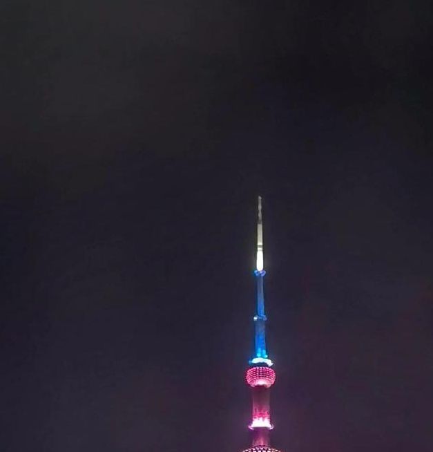 夜幕下上海滩深度游攻略:十大必打卡夜景地标与人文体验指南 夜幕下上海滩深度游攻略:十大必打卡夜景地标与人文体验指南