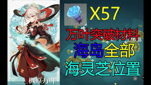 原神万叶突破材料全收集指南：孤云凌霄松萝快速获取路线与秘境挑战技巧