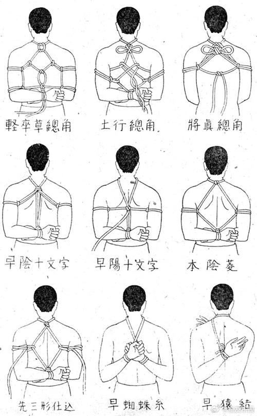 捆虐搏击玫瑰实战技巧解析:安全防护与高效训练指南 捆虐搏击玫瑰实战技巧解析:安全防护与高效训练指南