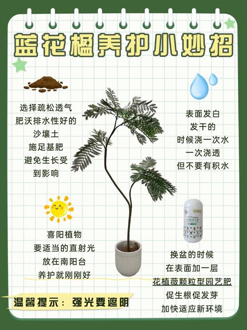 蓝儿花卉养护全攻略:品种选择、寓意解读与居家搭配长尾指南 蓝儿花卉养护全攻略:品种选择、寓意解读与居家搭配长尾指南