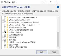 Windows10家庭版虚拟机配置全指南：Hyper-V与第三方工具实测解析