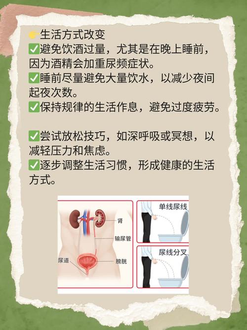 尿急惹出的秘密:频繁跑厕所背后隐藏的5大健康隐患与应对方案 尿急惹出的秘密:频繁跑厕所背后隐藏的5大健康隐患与应对方案