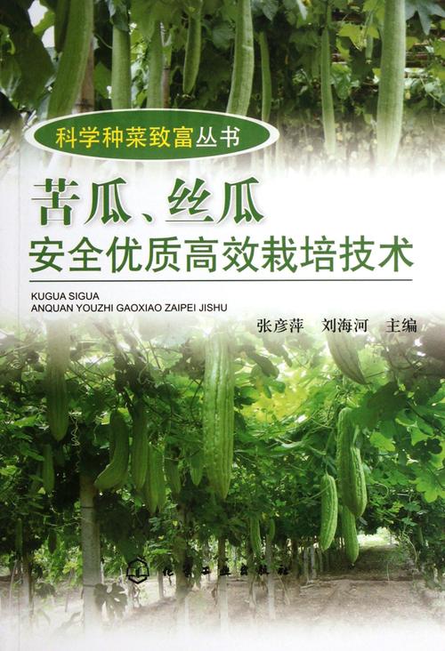 丝瓜视频安全使用指南:如何规避风险并发现优质内容 丝瓜视频安全使用指南:如何规避风险并发现优质内容