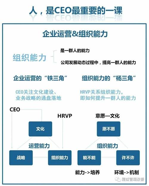 湖南妹子张丽快播创业故事:从草根到行业标杆的逆袭之路解析 湖南妹子张丽快播创业故事:从草根到行业标杆的逆袭之路解析