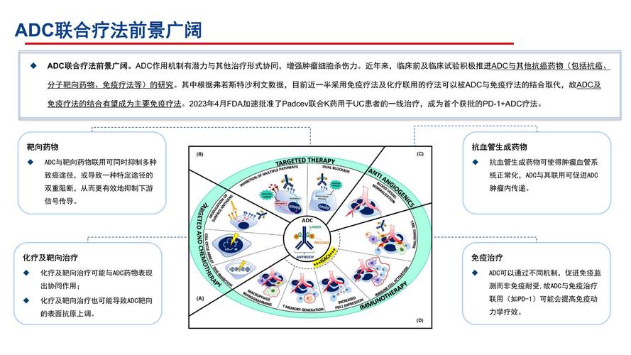 ADC日本研发突破:解析抗癌新药市场趋势与核心技术优势 ADC日本研发突破:解析抗癌新药市场趋势与核心技术优势
