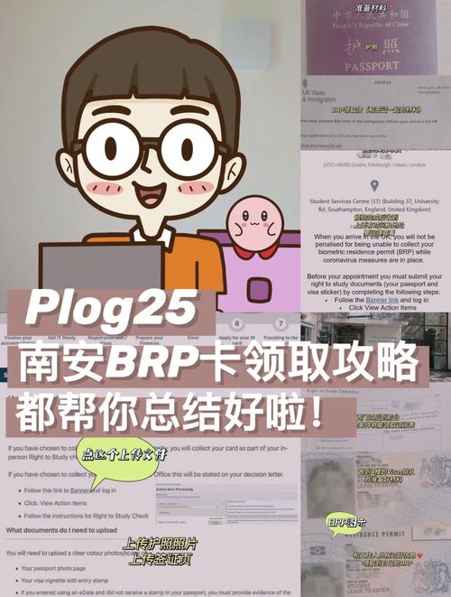 palipali2轻量版永久入口获取方法:最新地址解析与安全使用技巧指南 palipali2轻量版永久入口获取方法:最新地址解析与安全使用技巧指南