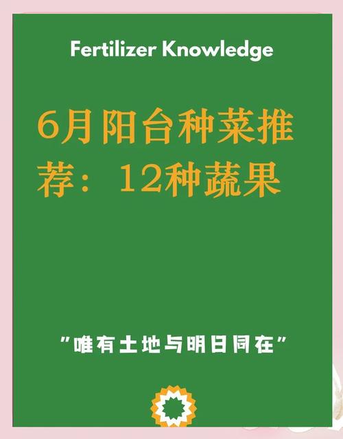 茄子香蕉榴莲草莓丝瓜向日葵家庭种植指南：阳台蔬果栽培技巧与健康搭配大全